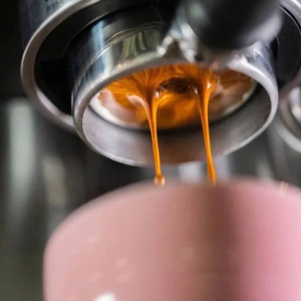 Solis IMS Perfetta Dampfsieb für Kaffeemaschine 700.60