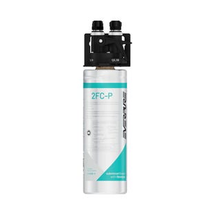 Everpure Wasserfiltersytem 2FC-P
