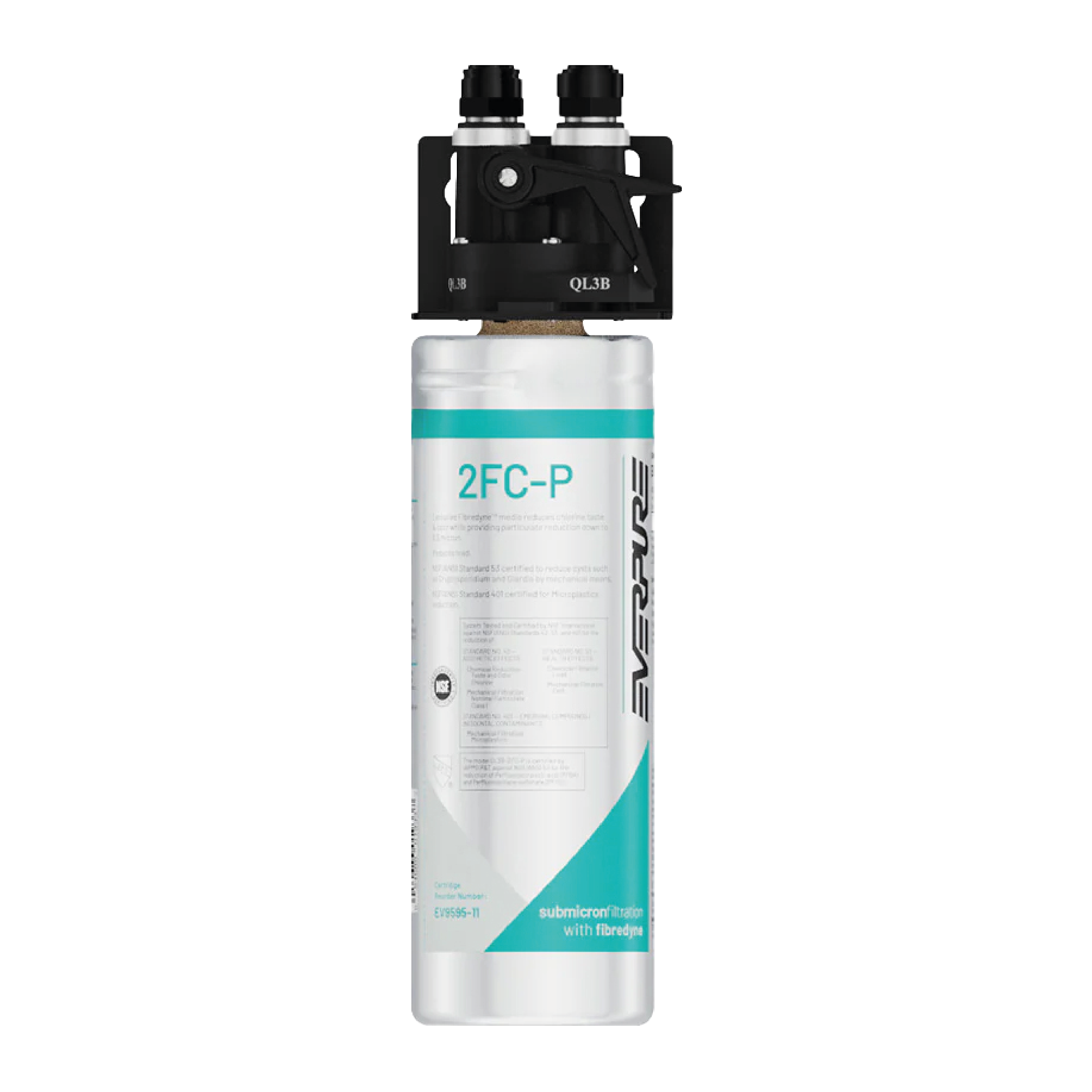 Everpure Wasserfiltersytem 2FC-P