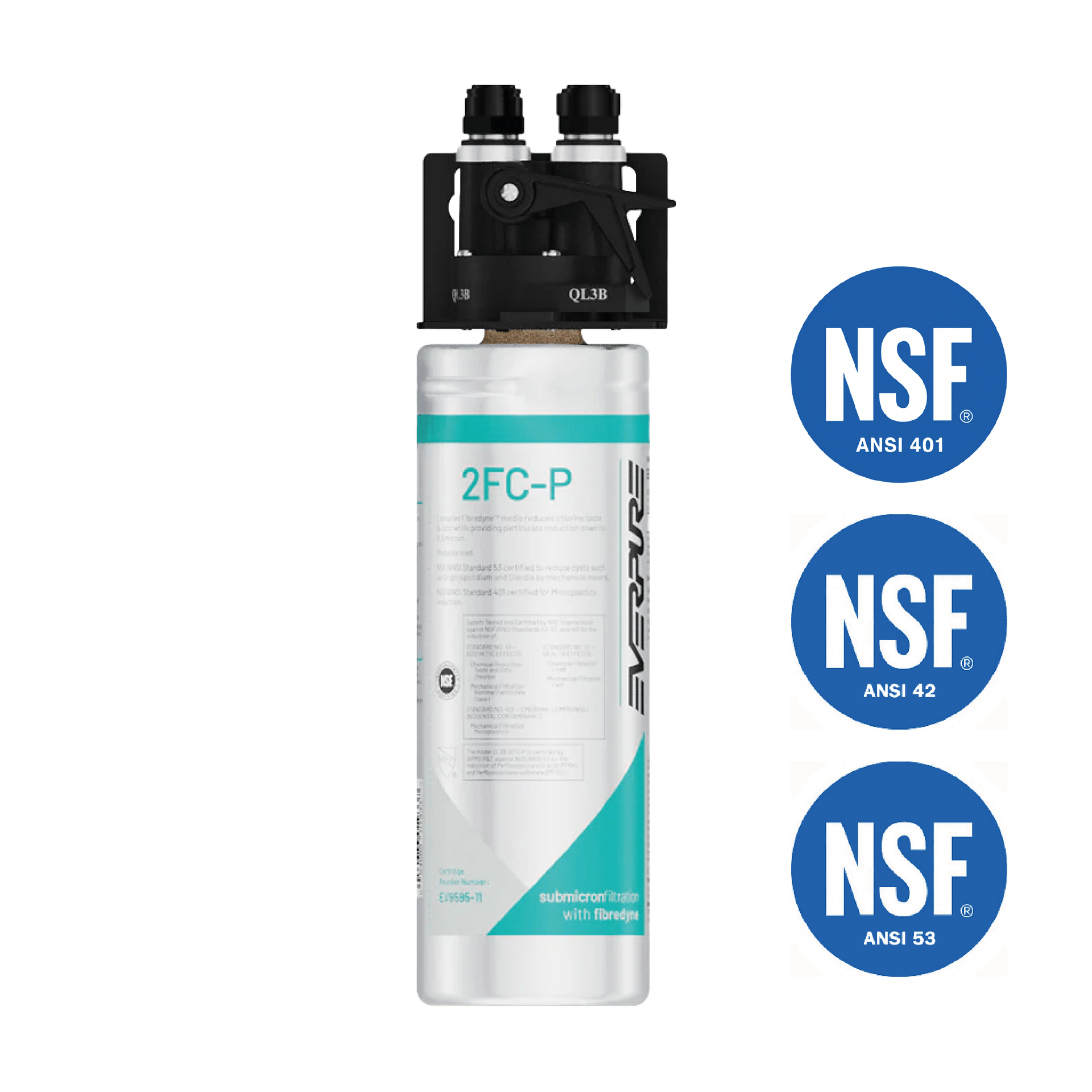 Everpure Wasserfiltersytem 2FC-P