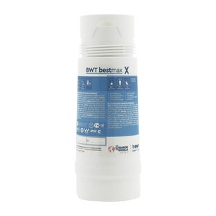 BWT Bestmax X Wasserfilterpatrone FS20100A00