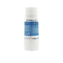 BWT Bestmax X Wasserfilterpatrone FS20100A00