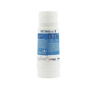 BWT Bestmax X Wasserfilterpatrone FS20100A00