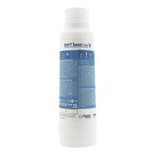 BWT Bestmax V Wasserfilterpatrone FS23100A00