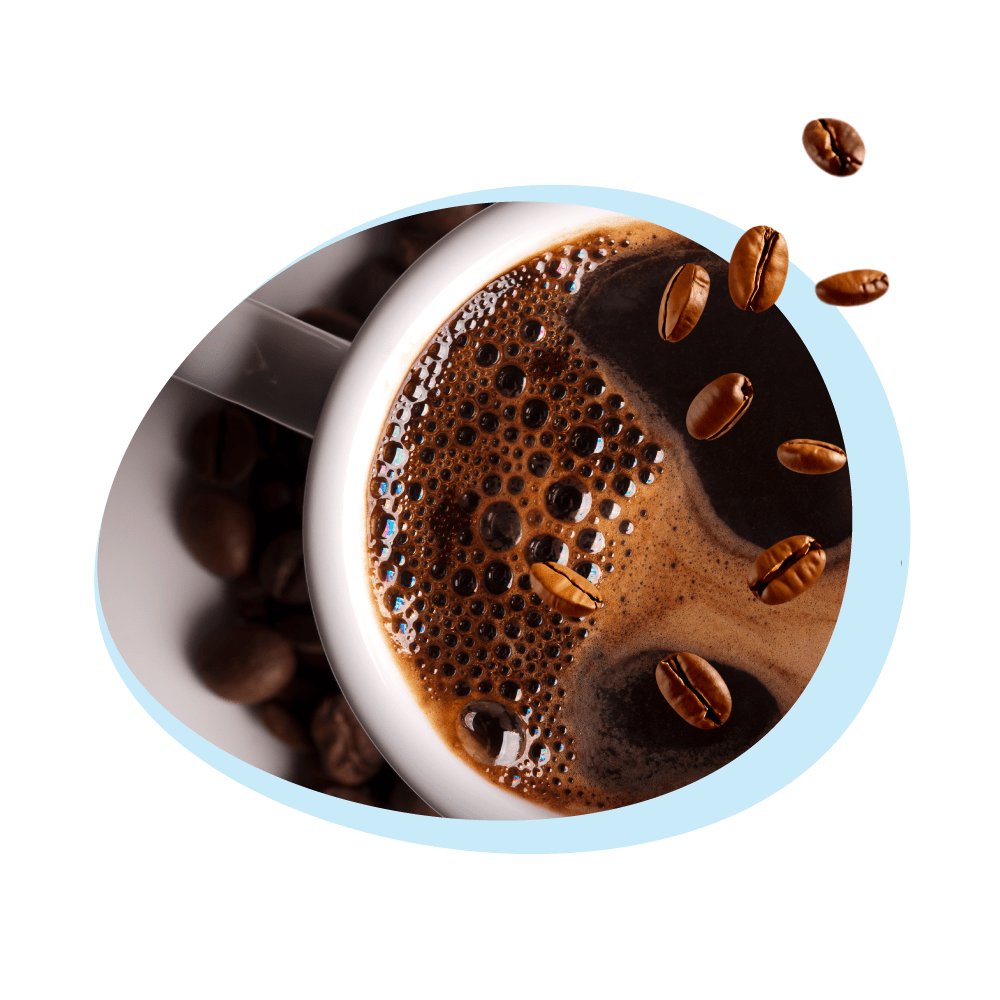 Wasserfilter geeignet für WMF Perfection Kaffevollautomaten XW133000
