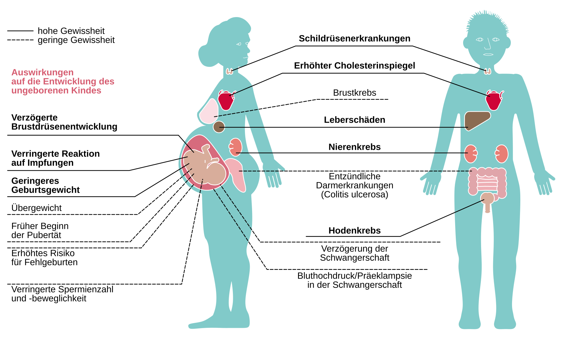 Gesundheitliche Risiken durch die Aufnahme von PFAS